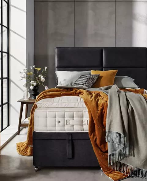 Modern contemporary furniture collection